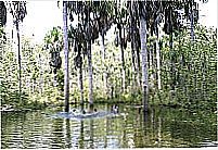 Balne�rio num 