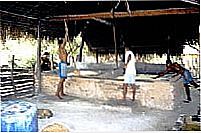 Produ��o Artesanal da Farinha de Mandioca
Foto  Wikip�dia