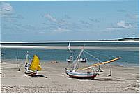 Cedral foto  Wikip�dia