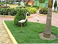 Plantas e Gar�as na Pra�a por Hiel Mota