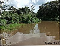 Barragem em Palmeir�ndia-MA-Foto:anamerari