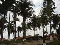 Pinheiro - Pinheiro-MA-Parque Babaçu-Foto:Marcos.Soares