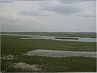 cidade de Roque