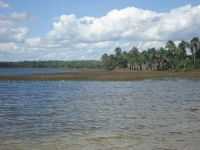São Benedito do Rio Preto - logoa da lucia, Por JUNIOR MESQUITA