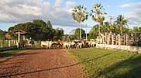 São Bernardo - Fazenda-Foto:Fernando F Melo