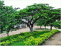 Praça-Foto:Felix Santos