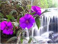 Cachoeira do Potreiro-Foto:@Sabrina kulits