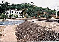 Fazenda de Caf�-Foto:Gilson de Souza 