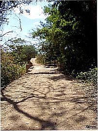 Estrada de Amanda-Foto:IzeKampus 