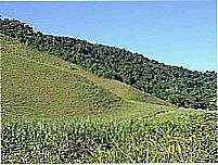Fazenda-Foto:felipercsilva 