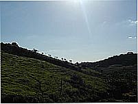 Montanhas/Fazenda-Foto:felipercsilva 