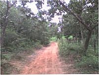 a caminho da ro�a, Por gilson soares