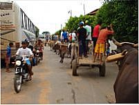 Passeata de carro de boi.Angicos de Minas, Por Carlos Alberto dos santos