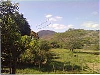 Pasto grande-Foto:maxjacksom 