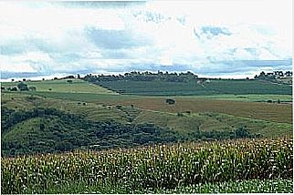 cidade de Argenita