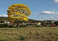 Ataléia - Ataléia-MG-Ataléia e suas paisagens-Foto:Renato A.Teixeira