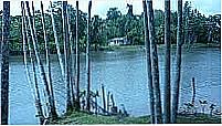 Paisagem-Foto:zany.zip.net