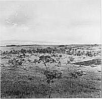 Plan�cie em Amapari-Foto:biblioteca.ibge.gov.br
