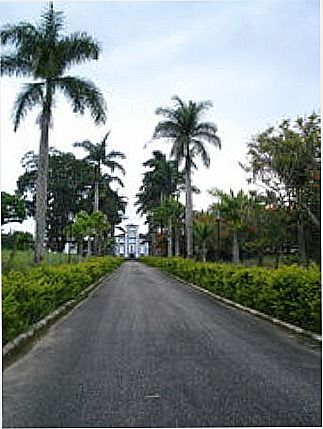 cidade de Cachoeira do Campo