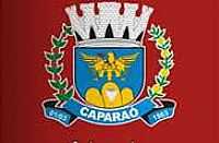 Caparaó - Brasão de Caparaó-MG