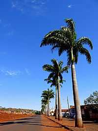 Capinópolis - Capinópolis-MG-Avenida de entrada da cidade-Foto:Carlos Alberto Alves