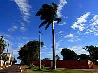 Capinópolis - Capinópolis-MG-Imponente Palmeira Imperial no trevo de acesso-Foto:Carlos Alberto Alves