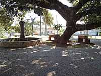 Cascalho Rico - Cascalho Rico-MG-Chafariz e Gameleira Histórica-Foto:Anivaldo Gonçalves