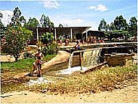 Cachoeira Eucaliptos