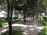 Arapiraca - Área verde Praça Ceci Cunha-Foto:Manoel Jorge Ribeiro…