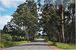 cidade de Deputado Augusto Clementino