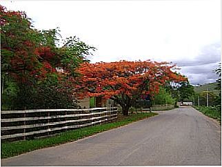 cidade de Descoberto
