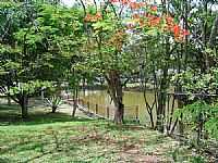 Divinópolis - Divinópolis-MG-Lagoa do Divinópolis Clube-Foto:Mauricio Couto