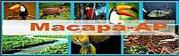 Macapá - Turismo em Macapá-AP