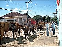 Fama foto Conex�o Fama