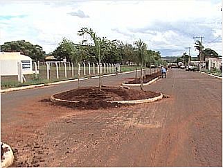 cidade de Flor de Minas