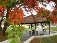 Florestal - Praça Ver. José Gonçalves de Oliveira por Wellington Diniz, Por wcd.florest@hotmail.com