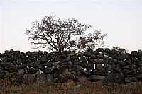 Gouveia - Muro de pedras em Gouveia-Foto:geoglauco