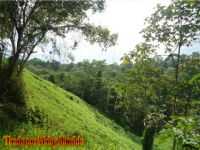 Abismo da estrada da colonia e serra, Por wirley almeida santos