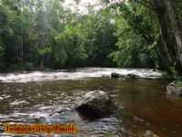 cachoeira do fernando, Por wirley almeida santos