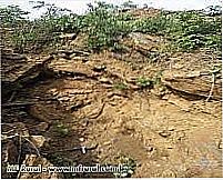 Mineradora de Min�rio de Ferro-Foto:mfrural.com.br