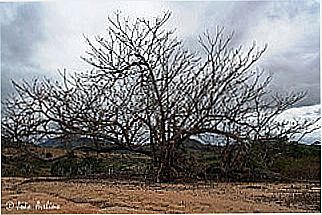 cidade de Itapiru
