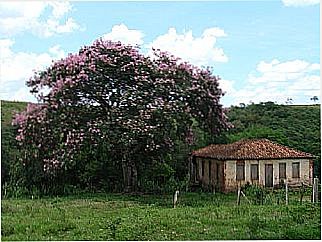 cidade de Jacu�