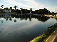 Jequitibá -