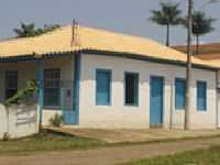 Jequitibá -