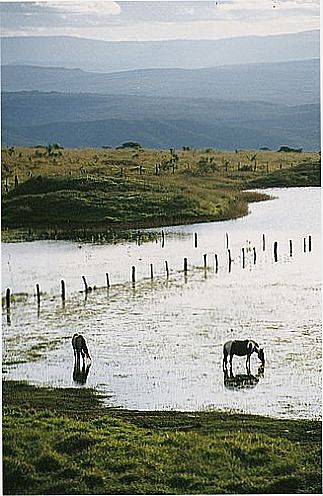cidade de Jos� Gon�alves de Minas