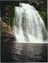 cachoeira das palmeiras, Por thais