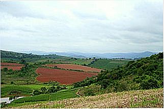 cidade de Machado