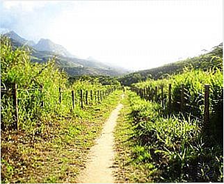 cidade de Martins Soares