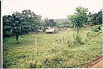 sit�o do tio valdo 1999.  por G�sio