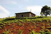 Natércia - Natércia-MG-Casa em área rural-Foto:Gláucio Almeida